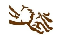 Spinal Decompression Center